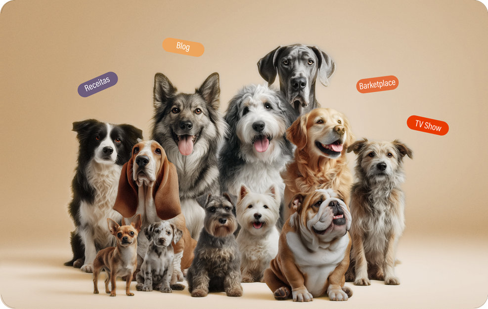 O que é Bone Appétit?