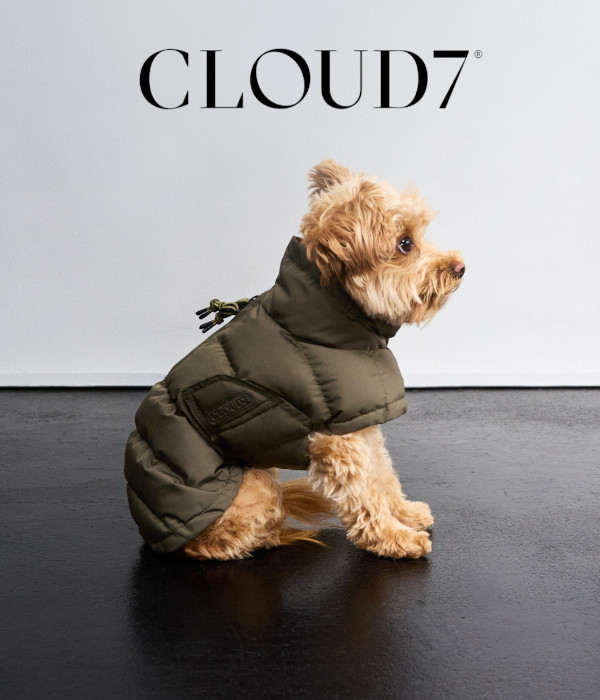 CLOUD7